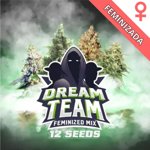 Dream Team BSF Mix x12