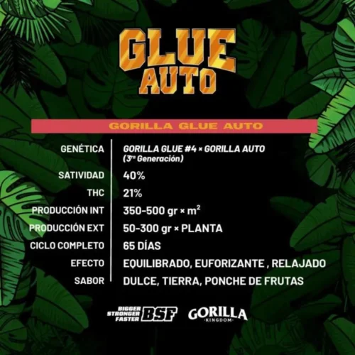 Gorilla Glue Auto BSF