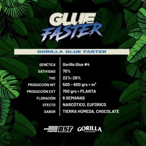 Gorilla Glue F1 BSF