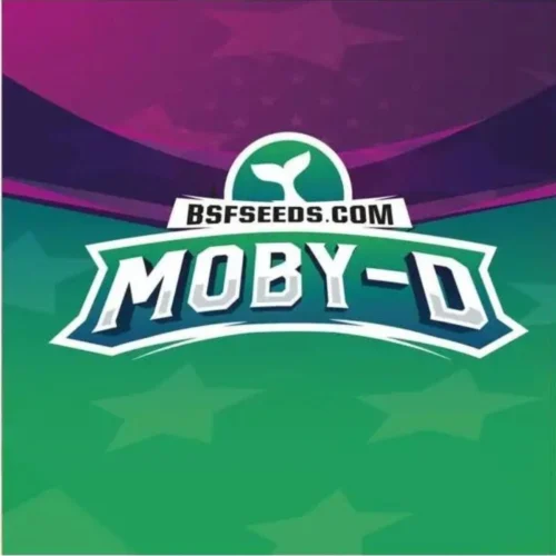 Moby D BSF
