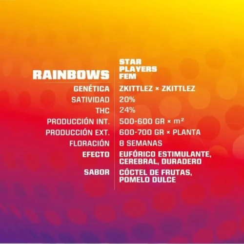Rainbows BSF
